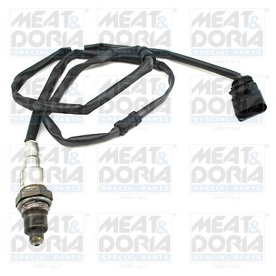Oxygen Sensor
